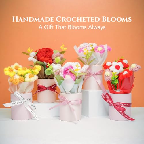 Crochet Red Rose Bouquet (Small)