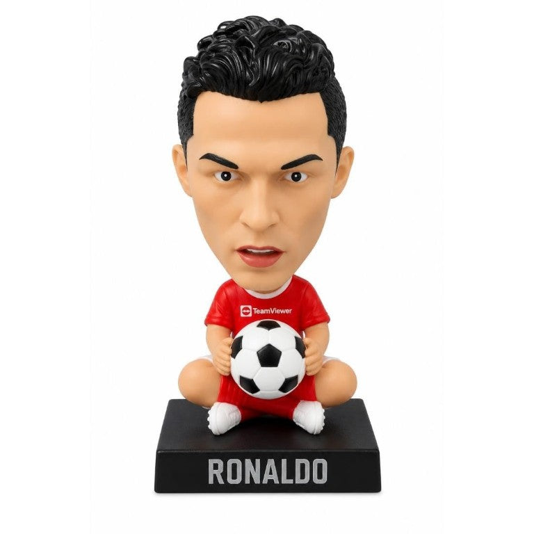 Tiny Shiny Character Bobblehead Figurines